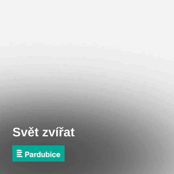 Svět zvířat